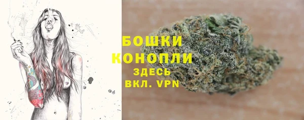амф Козельск
