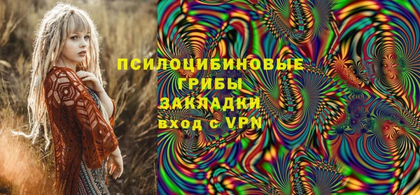 хмурый Козловка