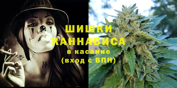 амф Козельск