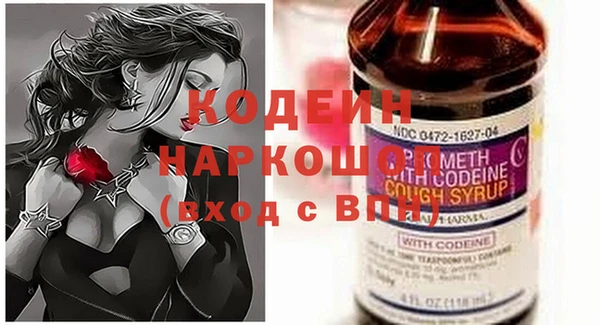 амф Козельск